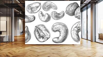 Set Hand drawn sketch cashew nut vector on white background Wall mural