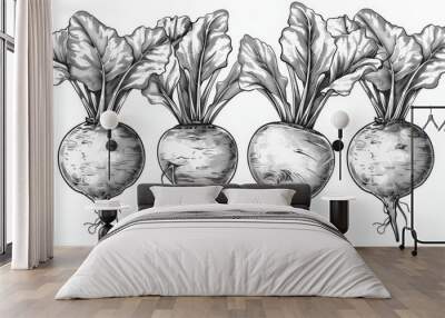 Vector beetroot organic vegetable sketch Wall mural