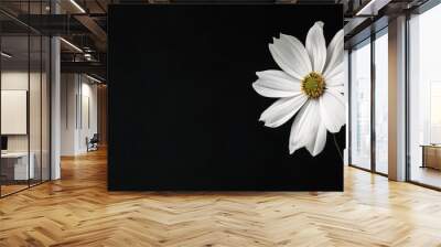 White flowers on black background Wall mural