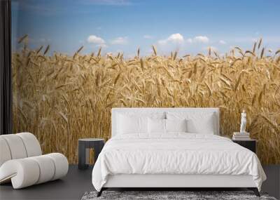 Field of rye Wall mural