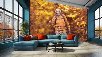 Senior man hiking in autumn forest. Wall mural