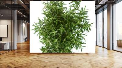 fresh rosemary on white background Wall mural