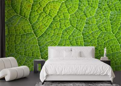 Green leaves Wall mural