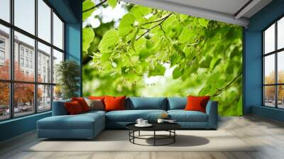 Green summer time Wall mural