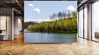 Spring forest landscape scenery Wall mural