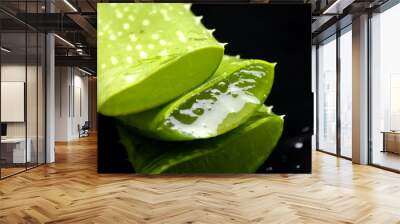 Aloe leaf with juice droplet with reflection Wall mural