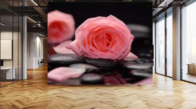 pink two rose with therapy stones Wall mural