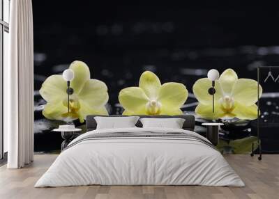 still life with pebbles and three orchid Wall mural