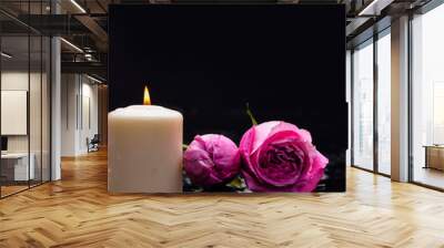 Still life with two rose with candle and therapy stones  Wall mural