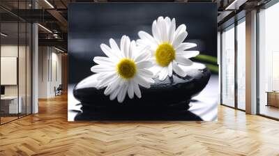 two gerbera daisy on zen stones Wall mural