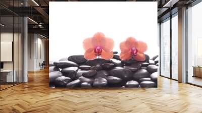 Two orange orchid, close up with pile of black stones
 Wall mural