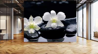 two white orchid with therapy stones Wall mural