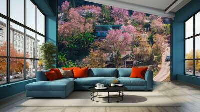 landscape of Beautiful Wild Himalayan Cherry Blooming pink Prunus cerasoides flowers at Phu Lom Lo Loei and Phitsanulok of Thailand Wall mural