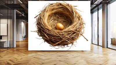 bird nest isolated  on white background Wall mural