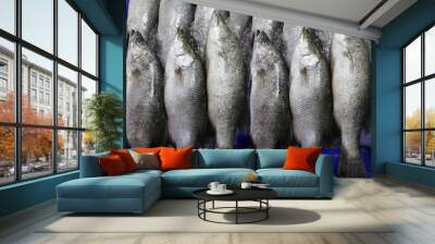 Fresh white sea bass fish or Asian seabass in the market. Wall mural