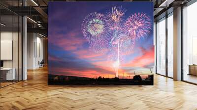 New year fireworks on twilight sky background. Wall mural