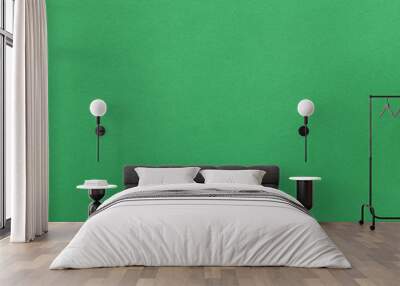 surface of green art paper background. Wall mural