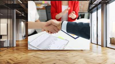 Closeup of partners handshaking at business meeting Wall mural