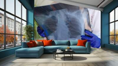 Doctor holds x-ray of lungs in hospital closeup Wall mural