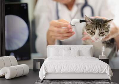 Examination of cat ear in veterinary clinic using an otoscope Wall mural