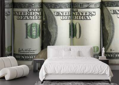 personal finance management, dollars and coins Wall mural