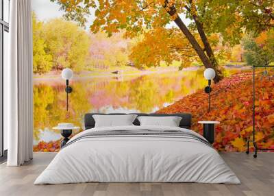 Autumn landscape Wall mural