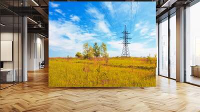 Powerlines over the meadow Wall mural