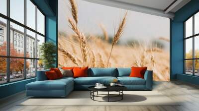 golden wheat field Wall mural