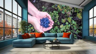 Handful of blueberries Wall mural