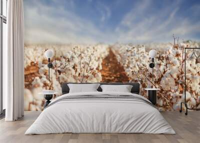 Cotton Field in West Texas Wall mural