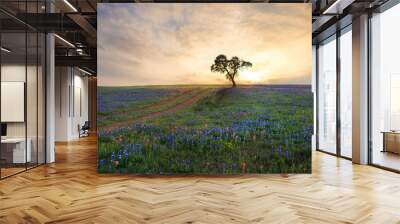 Field of wildflowers with road leading to a tree Wall mural