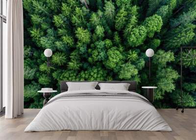 aerial view background forest of trees Wall mural