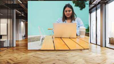 Young plus size woman using laptop at coffee shop. Wall mural