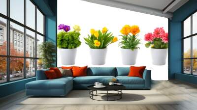 collection of colorful potted flowers isolated on white or transparent png Wall mural