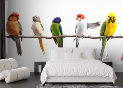 colorful parrots sitting on a branch isolated png transparent background Wall mural