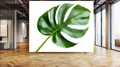 monstera leaf isolated png transparent background Wall mural