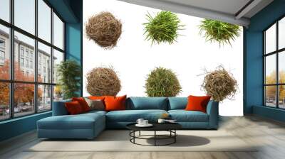 set of six different types of grass tufts and soil balls isolated on white or transparent png Wall mural