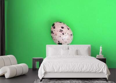 One quail egg on a light green surface, top view, empty place fo Wall mural