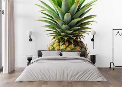 pineapple png Wall mural