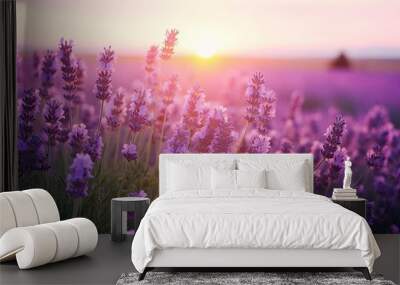 Close up lavender flowers in beautiful field at sunset. Wall mural