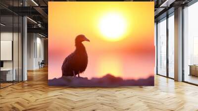 Dodo bird at sunset, bright sky with sun on background Wall mural