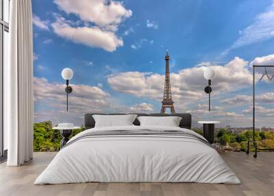 Paris, Eiffel Tower from the Trocadero Wall mural