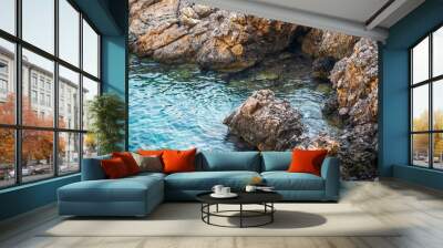 Clear sea water and rocks Wall mural