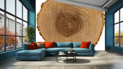 Wood cross section isolated on white background Wall mural