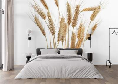 wheat ears isolated on white, PNG Wall mural