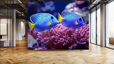 A pair of Powder Blue Tangs in a synchronized dance, their tails creating beautiful patterns as they move through the vibrant coral reef. Wall mural