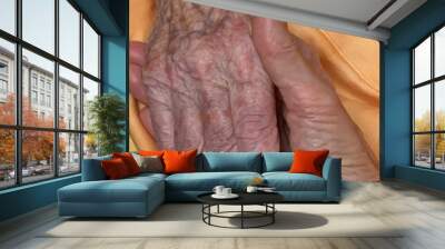 hand of old woman, Held by younger hand Wall mural