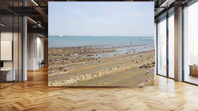 Beautifu view at Devil's Washboard in Aoshima, Miyazaki, Japan Wall mural