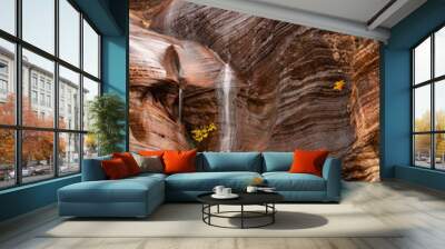 An ephemeral waterfall slides over the richly colored orange sandstone cliffs and past some small clusters of autumn foliage at Cockeye falls in Zion Nat. Park in Southern Utah, USA. Wall mural