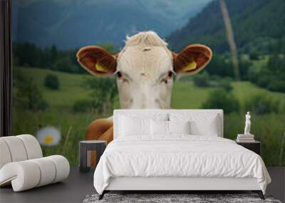 Cow lying in spring or summer sunny field with green grass and wildflowers. Cattle grazing on farmland. Agriculture industry and livestock husbandry. Design for banner, poster with copy space Wall mural